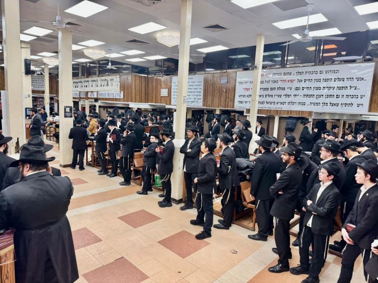 הגלריה השבועית מבית משיח: פרשת תצוה